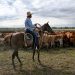 Trump’s Argentina beef import plan will harm U.S. ranchers, industry warns